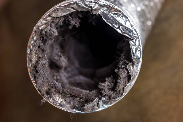 Best Commercial Air Duct Cleaning  in Combe, LA